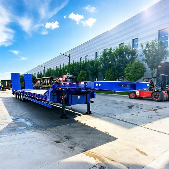 Çıxarılan Qaz Boyunlu Aşağı Yataqlı Yarımqoşqu